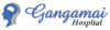 Gangamai Hospital